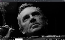 mpv screenshot 2